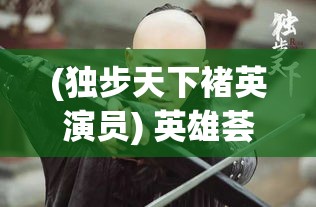 (独步天下褚英演员) 英雄荟萃，独步天下：无双乱武中的策略与战斗之术全解析